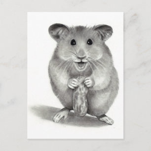 CARTE POSTALE HAMSTER AVEC PEANUT, ART PENCIL