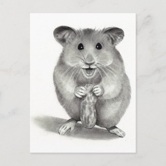 CARTE POSTALE HAMSTER AVEC PEANUT, ART PENCIL (Devant)