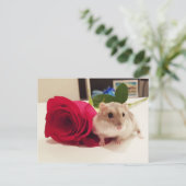 Carte Postale Hamster avec un Rose (Debout devant)