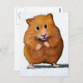 CARTE POSTALE HAMSTER EN COULEUR PENCIL (Devant / Derrière)