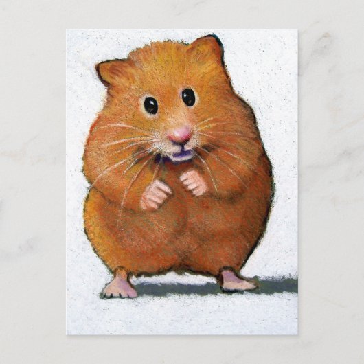 CARTE POSTALE HAMSTER EN COULEUR PENCIL (Devant)
