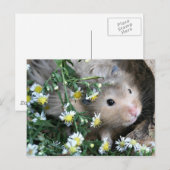 Carte Postale Hamster en fleurs (Devant / Derrière)