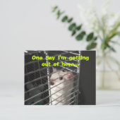 Carte postale Hamster Escape (Debout devant)