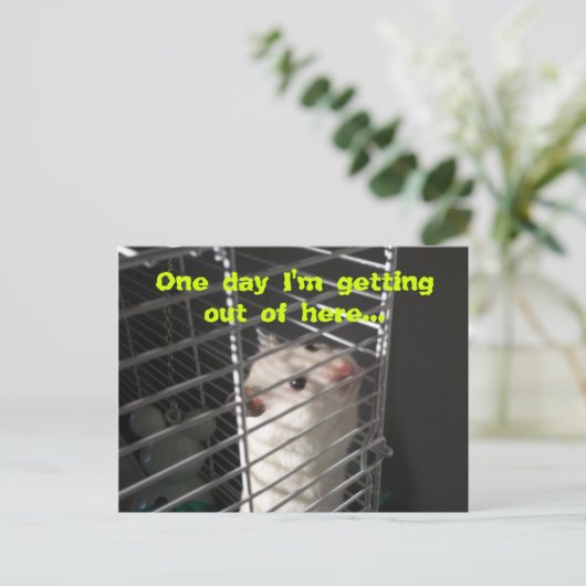 Carte postale Hamster Escape (Debout devant)