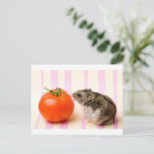 Carte Postale Hamster et tomate (Debout devant)