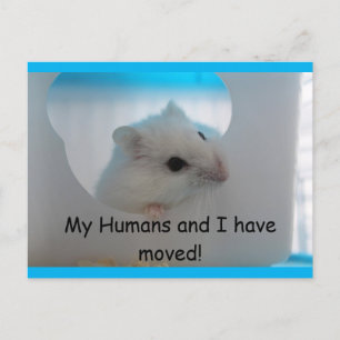 Carte postale Hamster We Moved