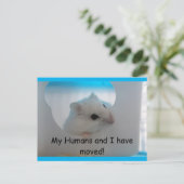 Carte postale Hamster We Moved (Debout devant)