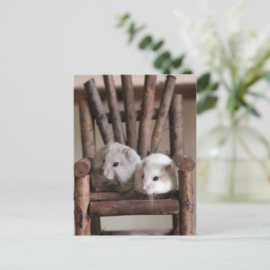 Carte postale Hamsters (Debout devant)