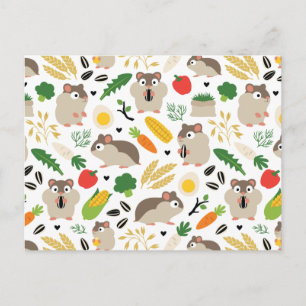 Carte Postale Hamsters Et Leurs Traitements