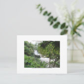 Carte Postale Hana, MAUI (Debout devant)