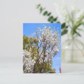 Carte Postale Hana Peach (Debout devant)