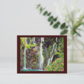 Carte postale Hana Waterfalls (Debout devant)