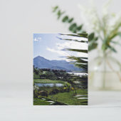 Carte Postale Hanalei - Princeville, Rive-Nord, Kauai (Debout devant)