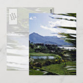 Carte Postale Hanalei - Princeville, Rive-Nord, Kauai (Devant / Derrière)