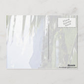 Carte Postale Hanalei - Princeville, Rive-Nord, Kauai (Dos)