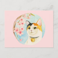 Hanami | Illustration japonaise du chat-caricature