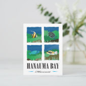 Carte Postale Hanauma Bay Hawaii - 2014 Vacances (Debout devant)