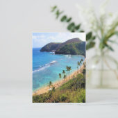 Carte Postale Hanauma Bay, Honolulu, Oahu, Hawaii View (Debout devant)