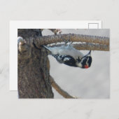 Carte Postale Hangin Out par Leslie Peppers (Devant / Derrière)