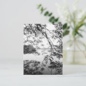 Carte Postale Hanoi Vietnam, Hoan Kiem Lake View (Debout devant)