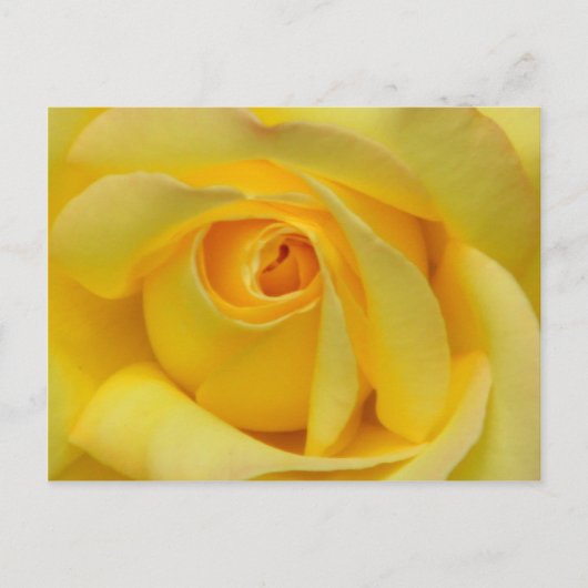 Carte Postale Happiness_ (Devant)