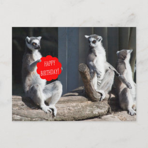 Carte Postale Happy Birthday