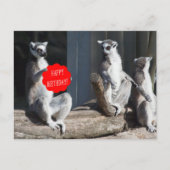 Carte Postale Happy Birthday (Devant)