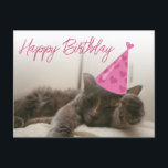 Carte Postale happy birthday cute funny cat with hat sleeping<br><div class="desc">certains des éléments de desigh de freepik.com joyeux chat d'anniversaire mignon avec casquette,  calligraphie amusante,  coutume. Carte recto verso,  sur le message d'anniversaire du côté arrière.</div>