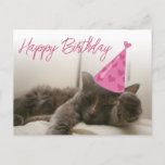 Carte Postale happy birthday cute funny cat with hat sleeping<br><div class="desc">some of the desigh elements from freepik.com
happy birthday cute cat with hat,  fun calligraphy,  custom.
2 sided card,  on the back side birthday message.</div>