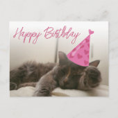Carte Postale happy birthday cute funny cat with hat sleeping (Devant)