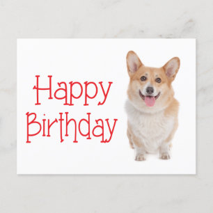 Carte Postale Happy Birthday Pembroke Corgi Puppy Dog Postcard