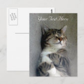 Carte postale Happy Cat personnalisable (Devant / Derrière)