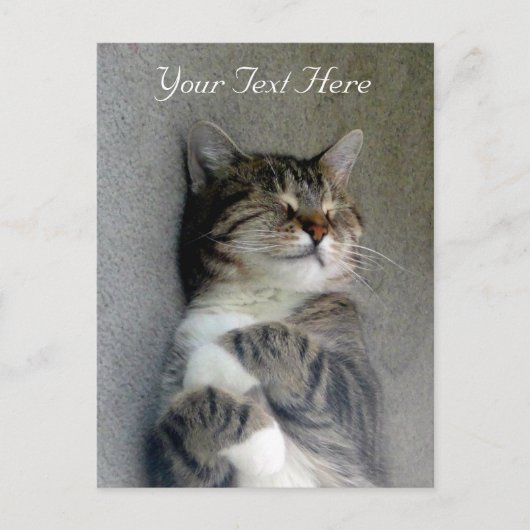 Carte postale Happy Cat personnalisable (Devant)