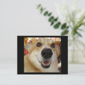 Carte postale Happy Corgi (Debout devant)