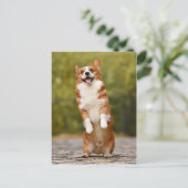 Carte Postale Happy Corgi Puppy photo debout (Debout devant)