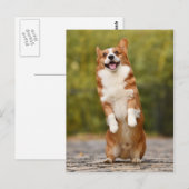 Carte Postale Happy Corgi Puppy photo debout (Devant / Derrière)