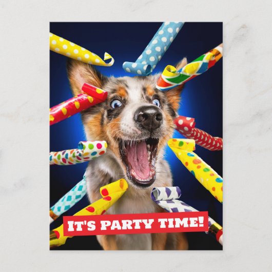 Carte Postale Happy Dog Party Blowers (Devant)