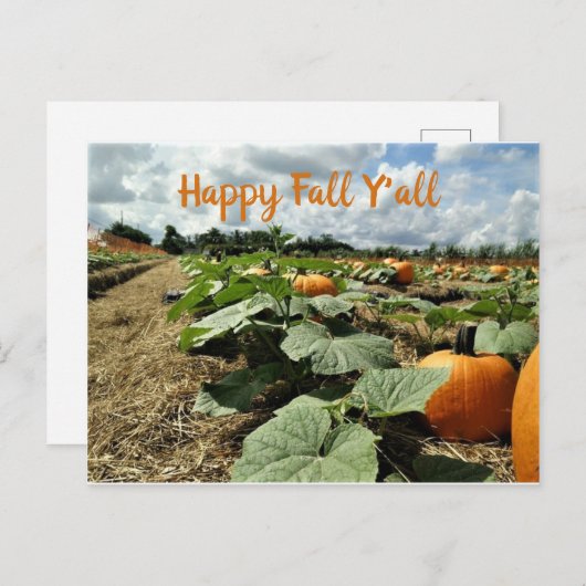 Carte Postale Happy Fall Citrouilles in a Patch Photo (Devant / Derrière)