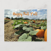 Carte Postale Happy Fall Citrouilles in a Patch Photo (Devant)