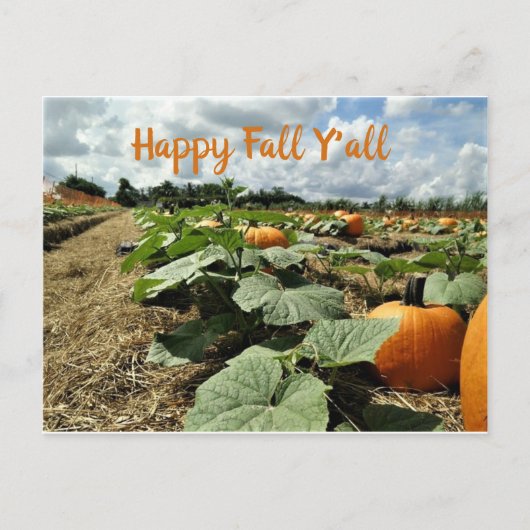 Carte Postale Happy Fall Citrouilles in a Patch Photo (Devant)