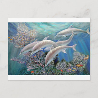 Carte Postale Happy_Family_-_Dolphins_Are_Awesome.JPG
