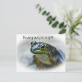 Carte postale Happy Frog Encouragement (Debout devant)