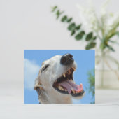 Carte Postale Happy Greyhound Smiling Closeup (Debout devant)