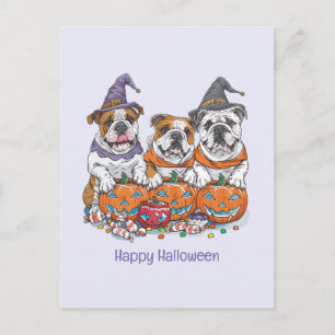 Carte Postale Happy Halloween Citrouille anglais Bulldogs