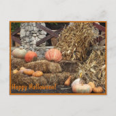 Carte Postale Happy Halloween citrouille photo vintage (Devant)