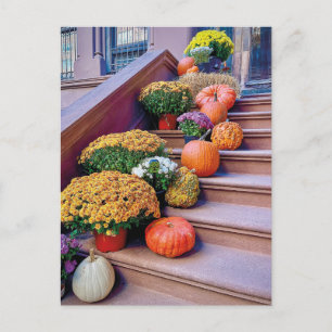 Carte Postale Happy Halloween Citrouille Stairs New York Postcar