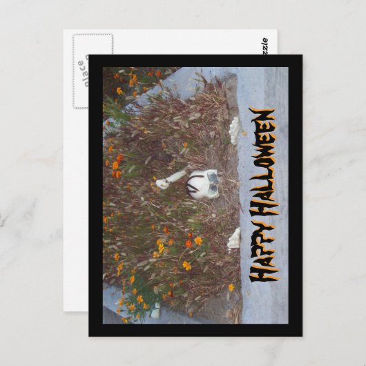 Carte Postale Happy Halloween Faux Skeleton dans Marigold Patch (Devant / Derrière)