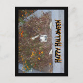 Carte Postale Happy Halloween Faux Skeleton dans Marigold Patch (Devant)