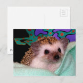 Carte Postale Happy Hedgehog (Devant / Derrière)