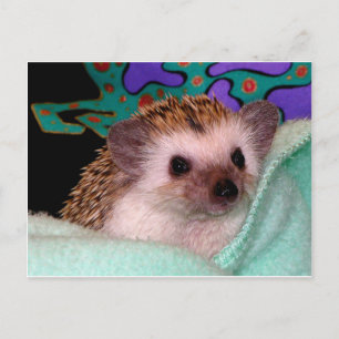 Carte Postale Happy Hedgehog